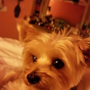 Meet your Posher, Maritza