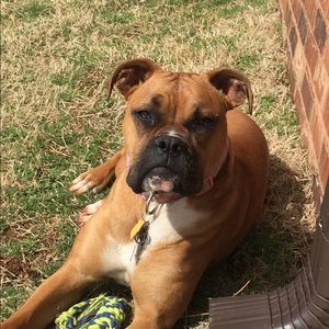 Meet your Posher, Beate