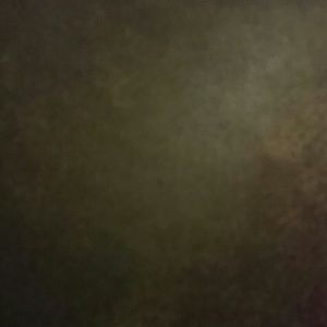 Meet your Posher, Karina