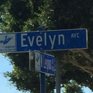 Meet your Posher, Evelyn