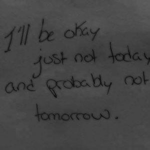 Meet your Posher, Lizbeth