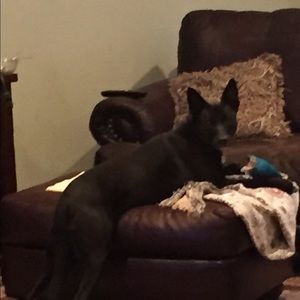 Meet your Posher, Sheila