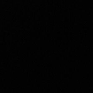 Meet your Posher, Missy