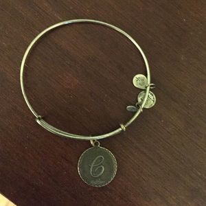 Alex and Ani silver charm bracelet