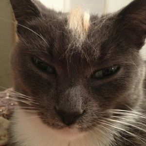 Meet your Posher, Scott