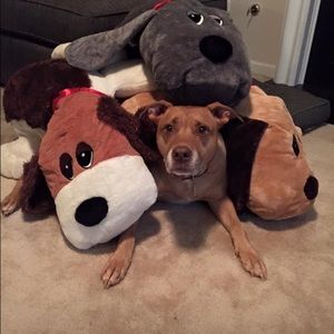 Meet your Posher, Laynie