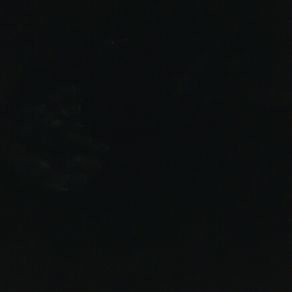 Meet your Posher, Annie - Picture 1 of 1