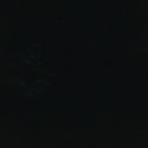 Meet your Posher, Annie