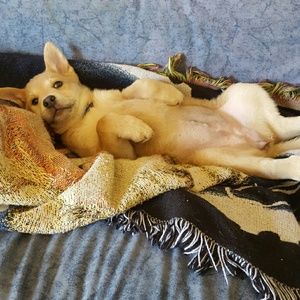 Meet your Posher, Laura