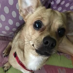 Meet your Posher, Enid