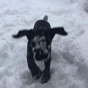 Meet your Posher, Allison