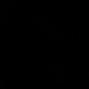 Meet your Posher, Isabelle