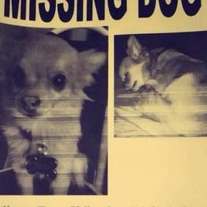 Meet your Posher, Sophia