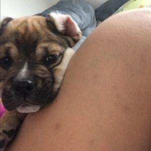 Meet your Posher, Megan