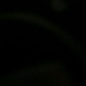 Meet your Posher, Daphne