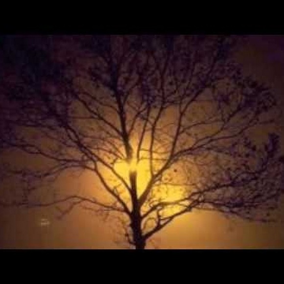 Meet your Posher, Paul - Picture 1 of 1