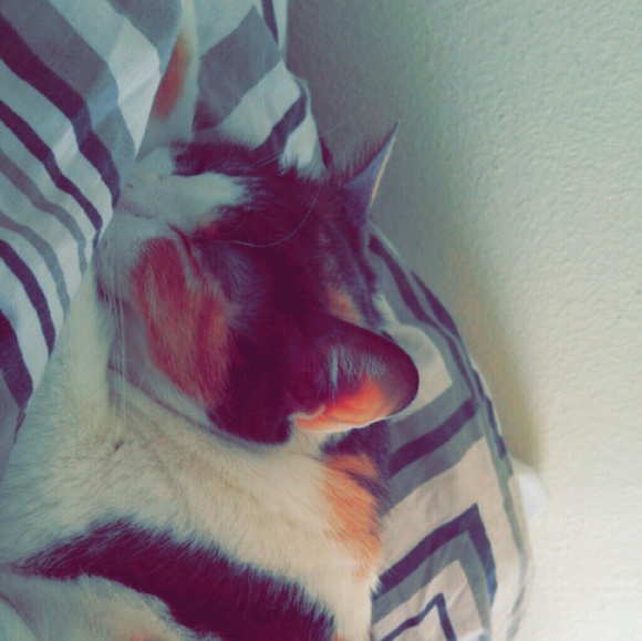 Meet your Posher, Hernan