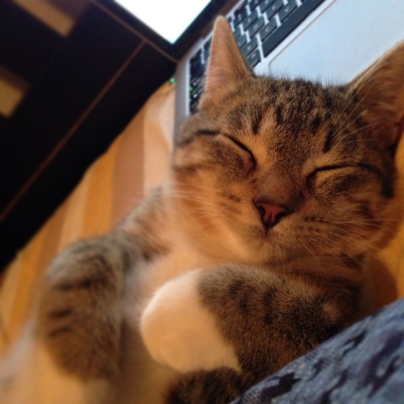 Meet your Posher, Kj