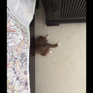 Meet your Posher, Jennifer