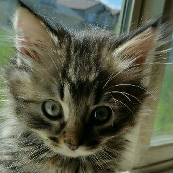 Meet your Posher, Ryan