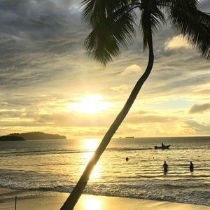 Meet your Posher, Jess