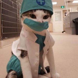 Meet your Posher, Elis