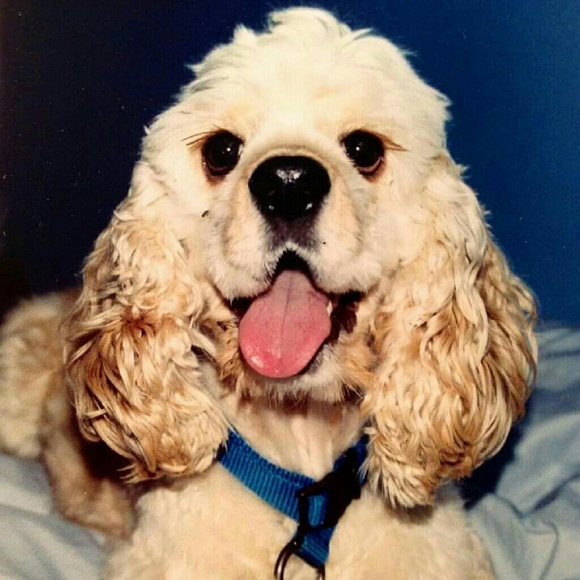 Meet your Posher, Jen - Picture 2 of 4