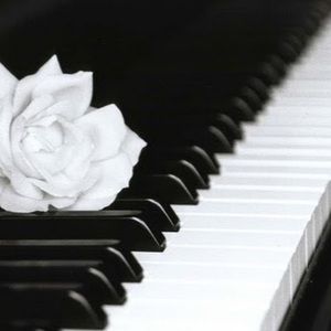 Meet your Posher, Gene