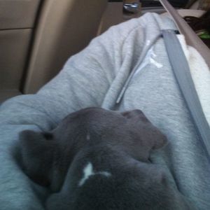 Meet your Posher, Amy