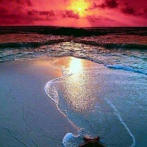 Meet your Posher, Tori