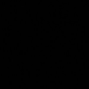 Meet your Posher, Mireya