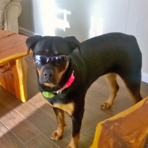 Meet your Posher, Jennifer