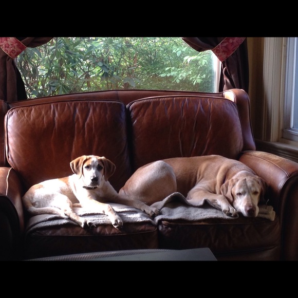 Not for sale - Picture 3 of 4