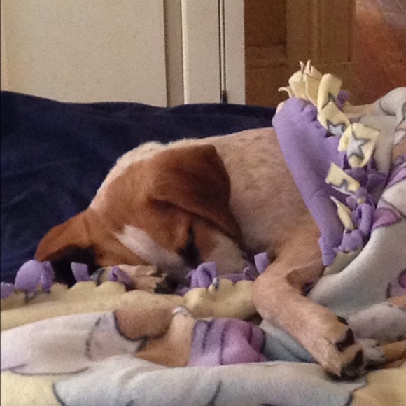 Not for sale - Picture 4 of 4