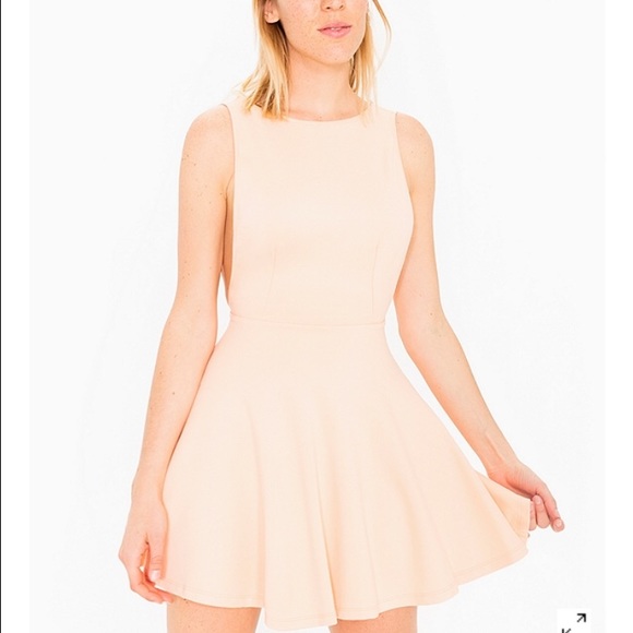 American Apparel sleeveless skater dress