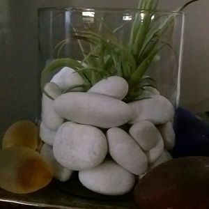 Meet your Posher, Joann