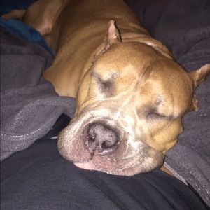 Meet my sidekick, Lulu!