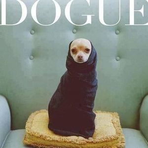 Meet your Posher, Charlene