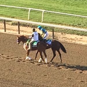 Meet your Posher, Olga