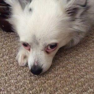 Meet your Posher, Nancy