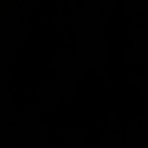 Meet your Posher, Jane