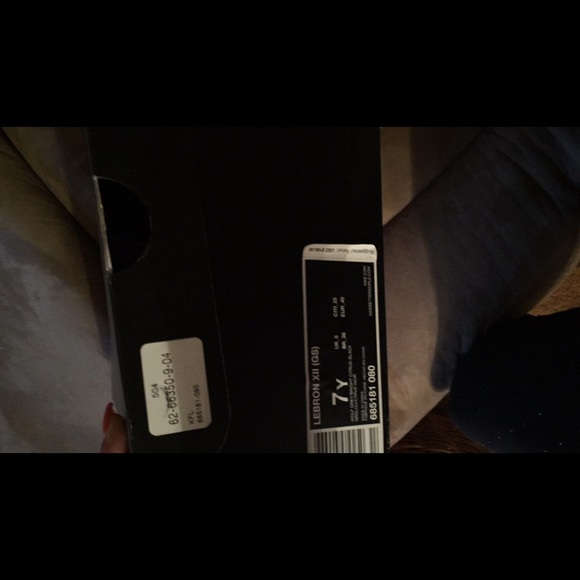 Lebrons - Picture 3 of 3