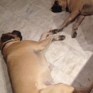 Meet your Posher, Julia