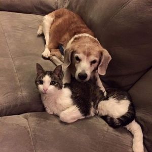 Meet your Posher, Kim