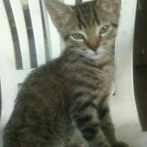 Meet your Posher, Stacey