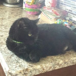 Meet your Posher, Deb