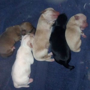 Meet your Posher, Delinda