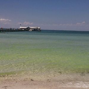 Meet your Posher, Holly