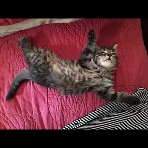 Meet your Posher, Brooke