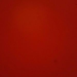 Meet your Posher, Eneida